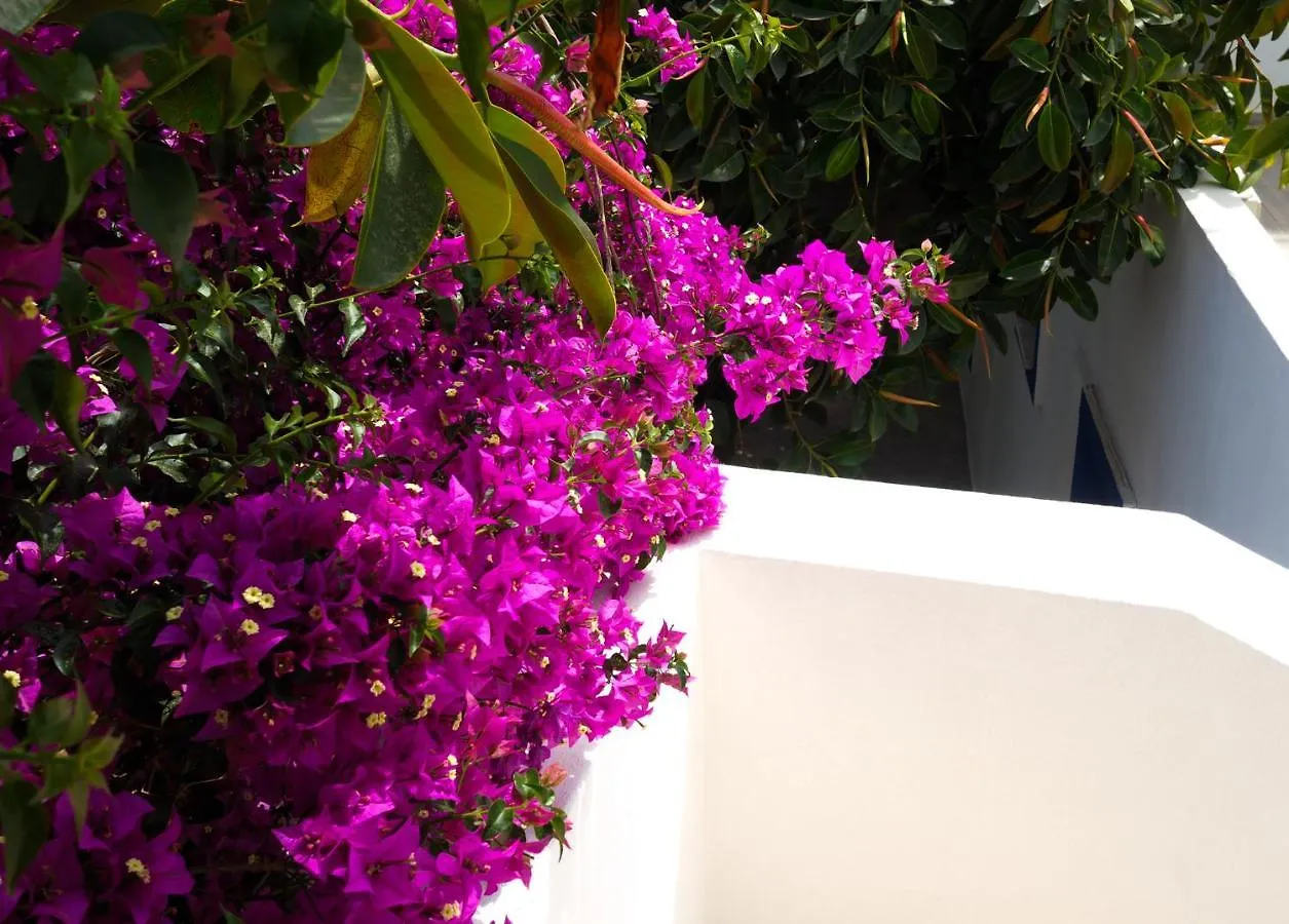 Oya Butik Otel Bodrum Hotel