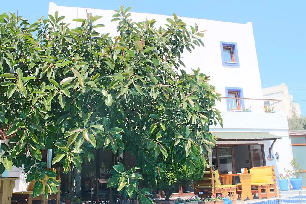 Oya Butik Otel Bodrum 3*,  Turkey