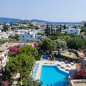 Moonshine & *** Bodrum